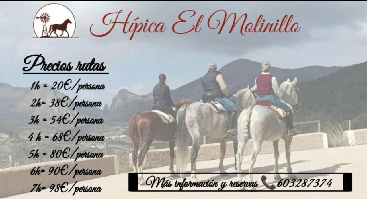 Los Naranjos Alcaucín Zewnętrze zdjęcie